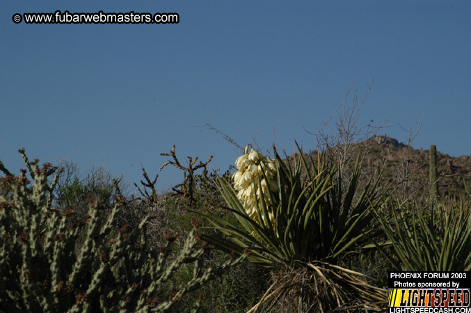 Desert Hummer Tour 2003