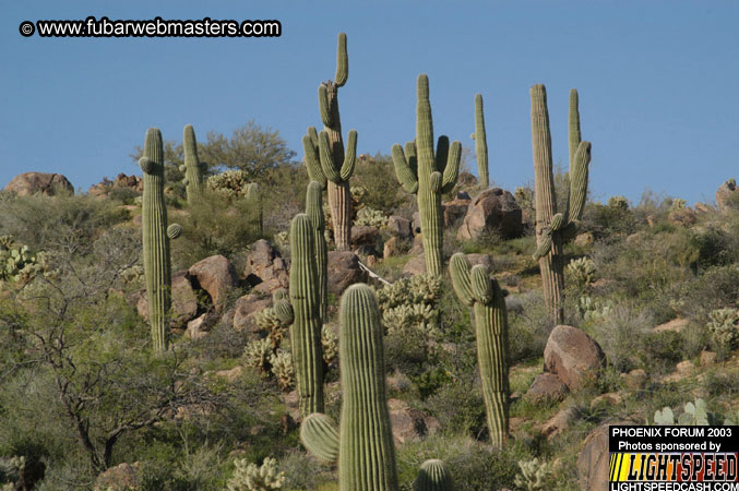 Desert Hummer Tour 2003