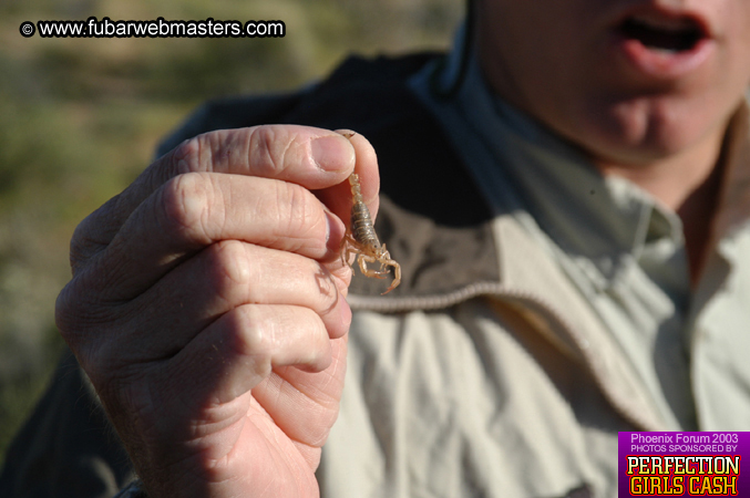 Desert Hummer Tour 2003