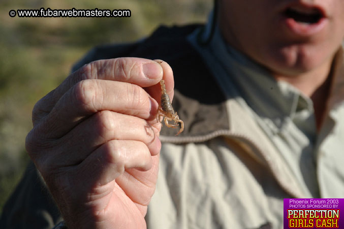 Desert Hummer Tour 2003