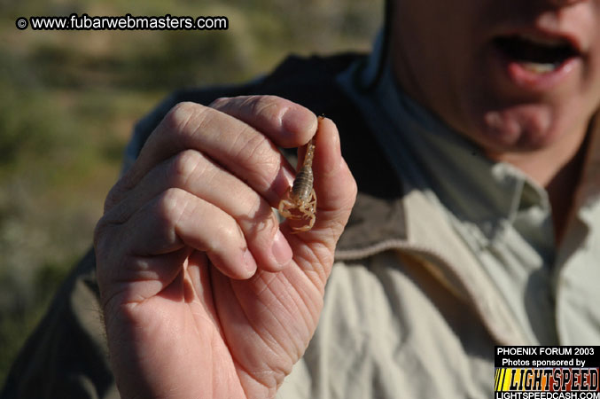 Desert Hummer Tour 2003