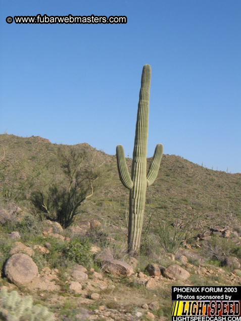 Desert Hummer Tour 2003