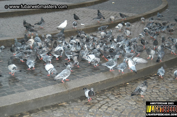 Amsterdam 2003