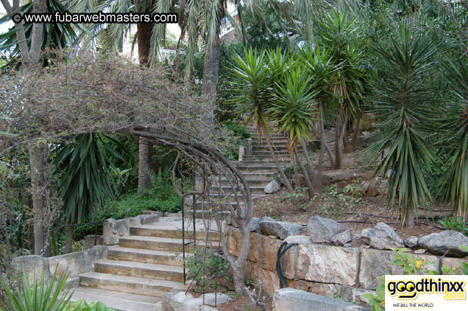 Gran Hotel Uto Palace 2003