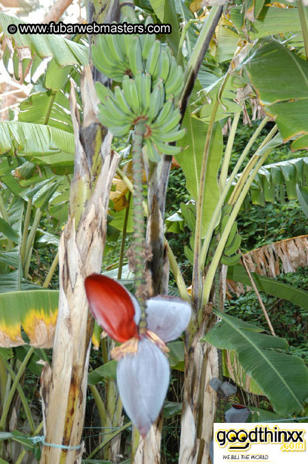 Gran Hotel Uto Palace 2003