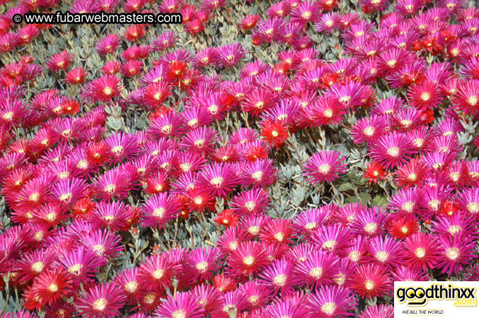 Gran Hotel Uto Palace 2003