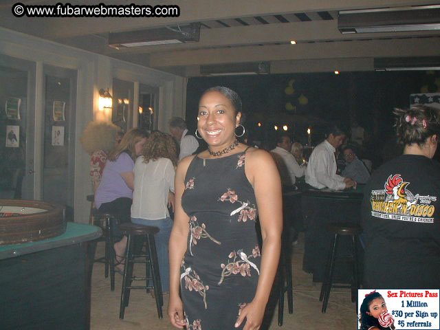 Chicken N' Disco Gallery 2003