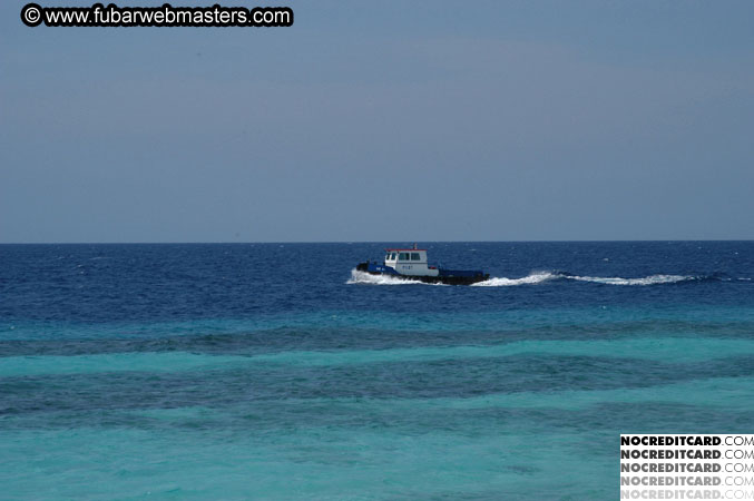 Around the Hotel 2003