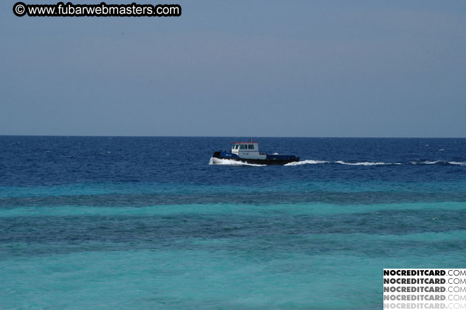 Around the Hotel 2003