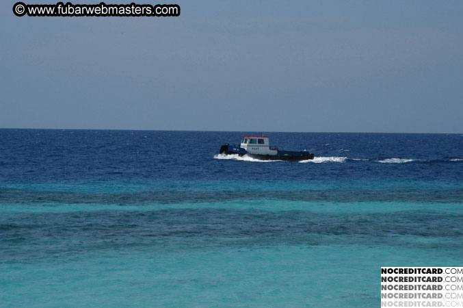 Around the Hotel 2003