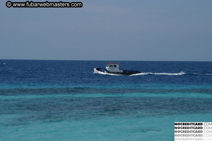 Around the Hotel 2003