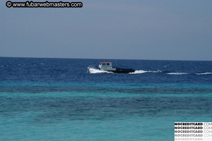 Around the Hotel 2003