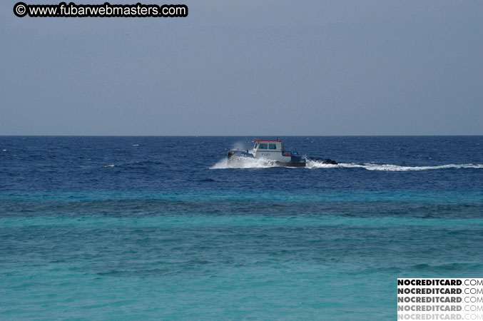 Around the Hotel 2003