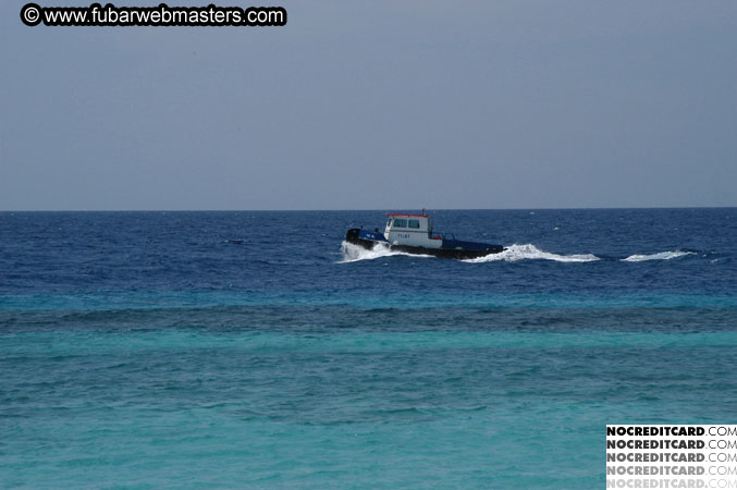 Around the Hotel 2003