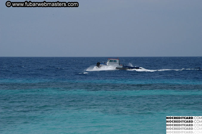 Around the Hotel 2003