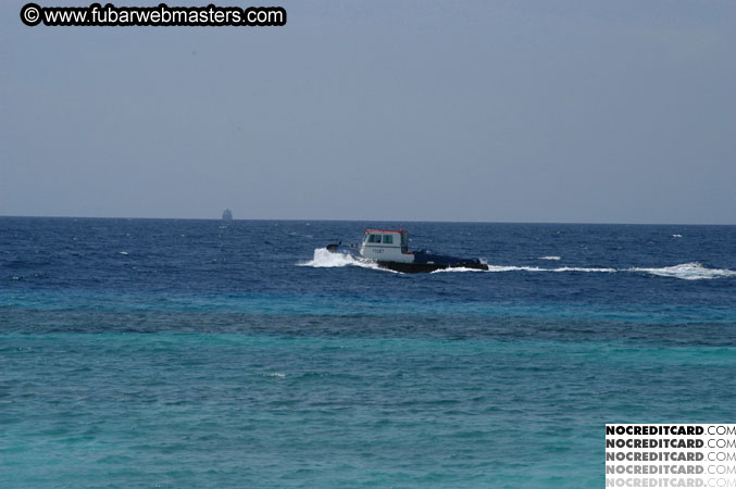 Around the Hotel 2003