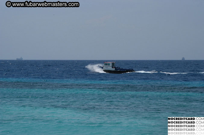 Around the Hotel 2003