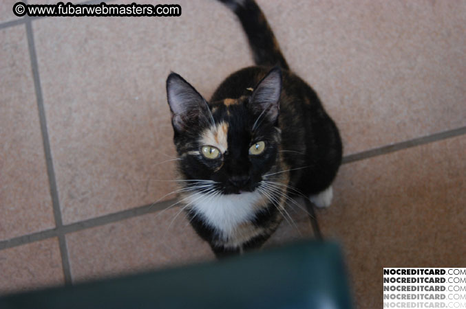 Breakfast Buffet 2003