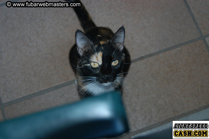 Breakfast Buffet 2003