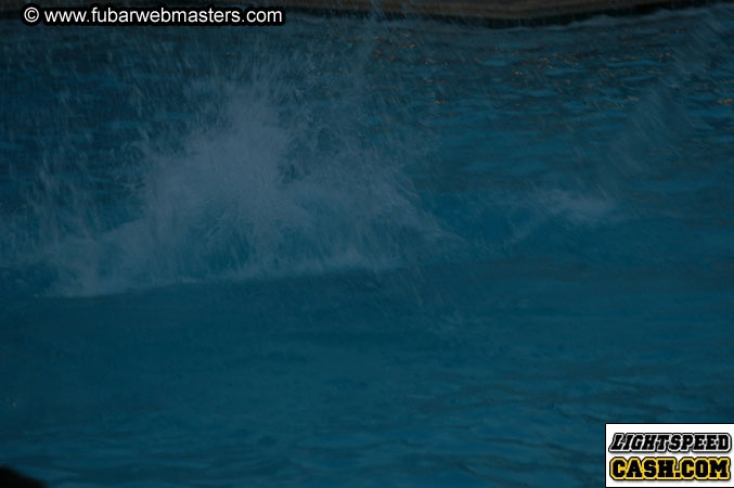 BellyFlop Contest 2003