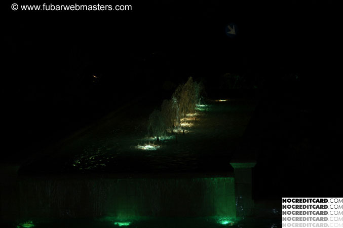 BellyFlop Contest 2003