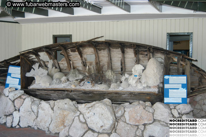 Encounter the Dolphins 2003