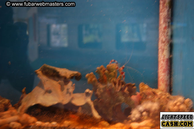 Encounter the Dolphins 2003