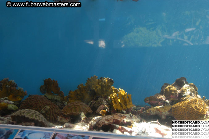 Encounter the Dolphins 2003