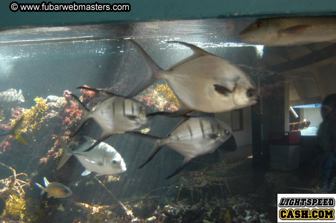 Encounter the Dolphins 2003