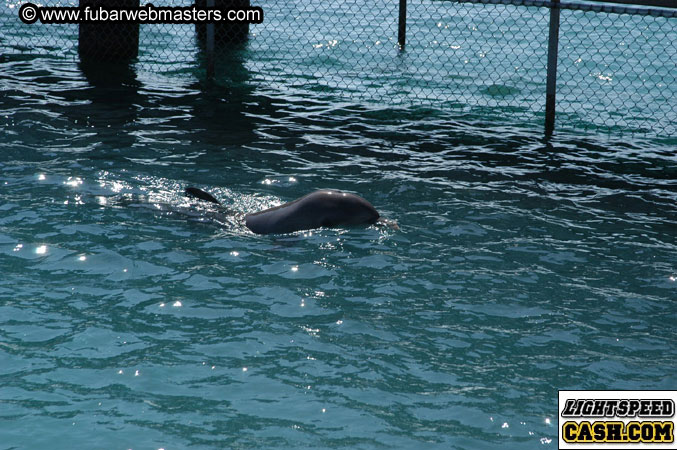 Encounter the Dolphins 2003