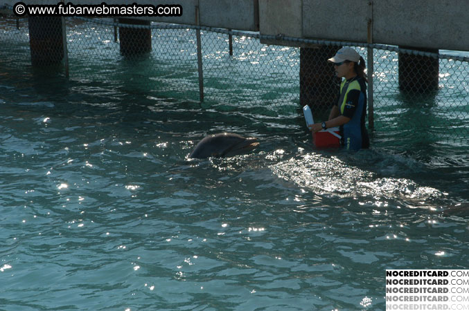 Encounter the Dolphins 2003