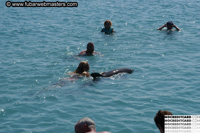 Encounter the Dolphins 2003