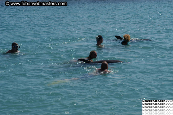 Encounter the Dolphins 2003