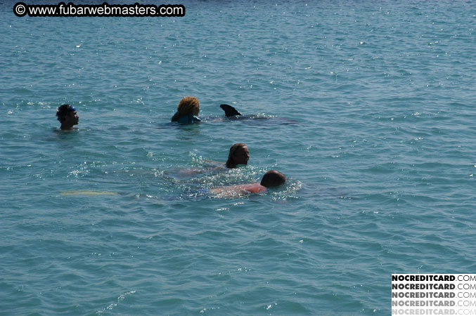 Encounter the Dolphins 2003