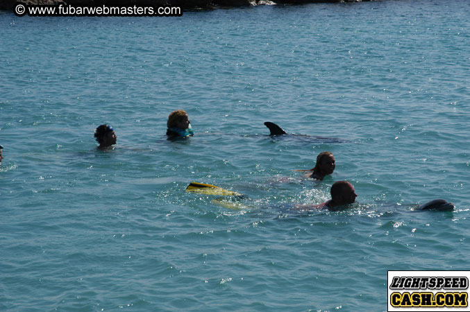 Encounter the Dolphins 2003