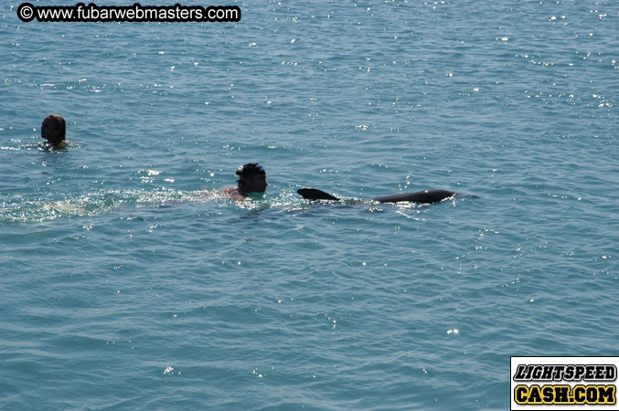 Encounter the Dolphins 2003