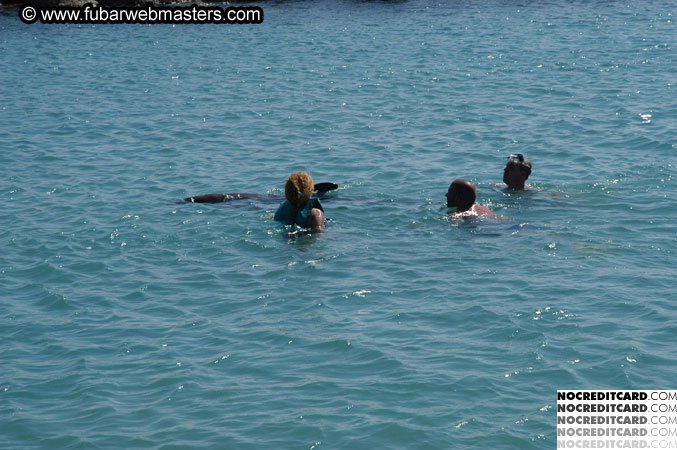 Encounter the Dolphins 2003