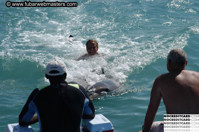 Encounter the Dolphins 2003