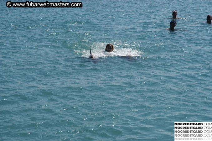 Encounter the Dolphins 2003