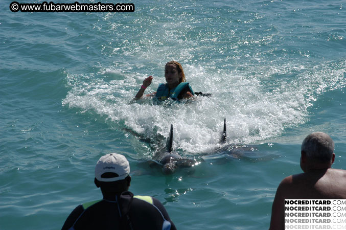 Encounter the Dolphins 2003