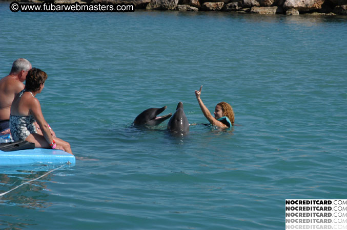 Encounter the Dolphins 2003