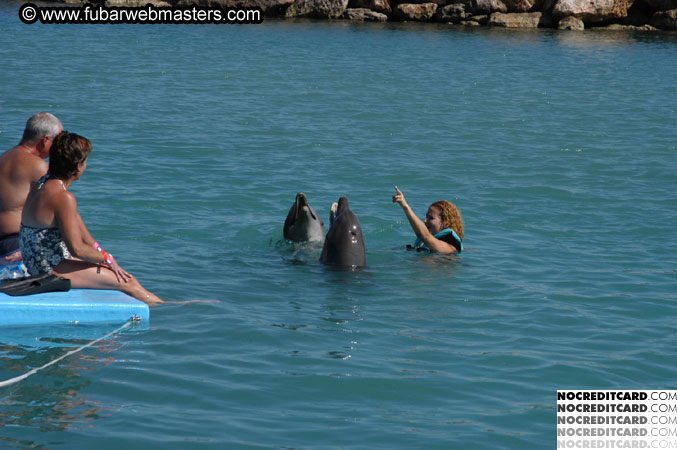 Encounter the Dolphins 2003