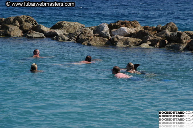 Encounter the Dolphins 2003