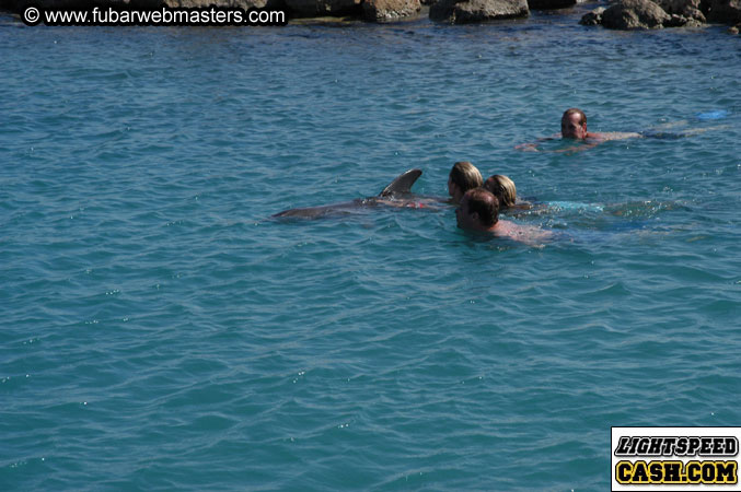 Encounter the Dolphins 2003