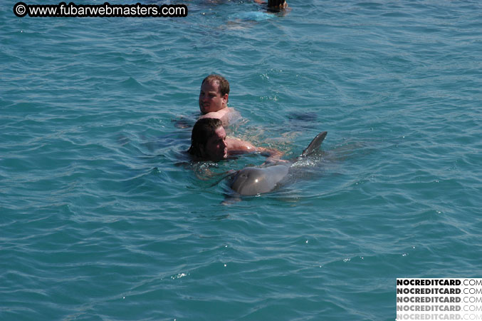 Encounter the Dolphins 2003