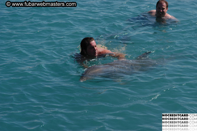 Encounter the Dolphins 2003