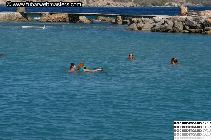 Encounter the Dolphins 2003