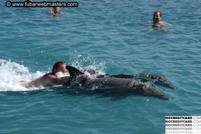 Encounter the Dolphins 2003