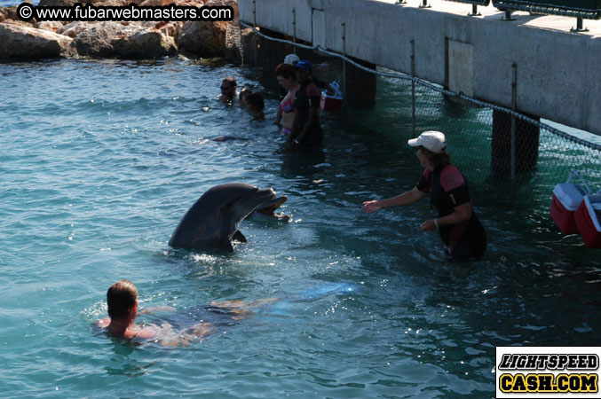 Encounter the Dolphins 2003