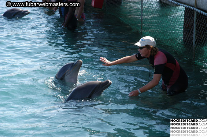 Encounter the Dolphins 2003